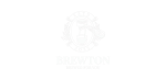 Untitled design (2)